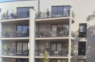 Wohnung mieten in Heinrichstraße 23, 53721 Siegburg, Erstbezug: Moderne 2-Zimmer-Wohnung mit Terrasse und Garten im EG in Siegburg