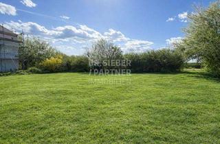 Grundstück zu kaufen in 04827 Machern, Ihr Platz zum Träumen und Bauen