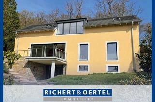 Villa kaufen in 01445 Radebeul, Moderne Stadtvilla inmitten der Weinberge