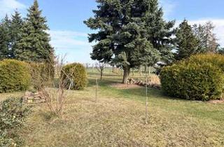 Einfamilienhaus kaufen in 04931 Mühlberg, Viel Platz zum fairen Preis
