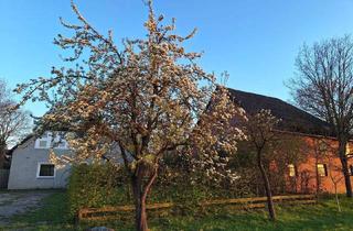 Haus kaufen in 29378 Wittingen, Resthof mit Weide und großem Garten - ideal für Selbstversorger und Tierbesitzer - 1,37ha