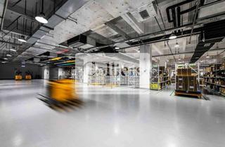 Büro zu mieten in 73230 Kirchheim, Hallen- und Büroflächen