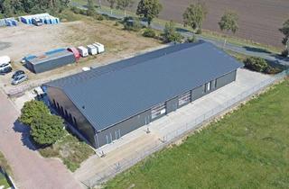 Gewerbeimmobilie mieten in 21271 Hanstedt, Teilfläche 142 m² in neuwertiger, hochwertiger Gewerbehalle in Hanstedt