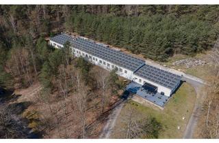 Gewerbeimmobilie kaufen in 29389 Bad Bodenteich, Gewerbeobjekt mit Lagerhallen- drei Wohneinheiten und großer Photovoltaikanlage