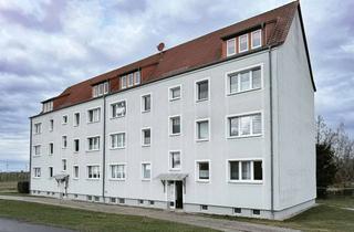 Anlageobjekt in 04668 Thümmlitz, Gepflegtes Mehrfamilienhaus mit 16 Wohnungen in Grimma zu verkaufen!