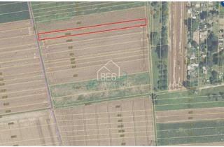 Grundstück zu kaufen in 71672 Marbach, Drei separate Grünflächen mit insgesamt ca. 2.639 m² in Marbach