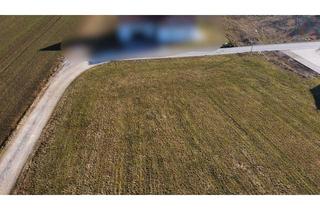 Grundstück zu kaufen in 92331 Parsberg, Ein Grundstück, viele Möglichkeiten – starten Sie Ihr Bauprojekt!