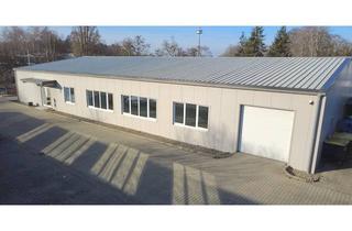 Büro zu mieten in 29525 Uelzen, Zu vermieten- Exklusive Gewerbeimmobilie- Büro- und Hallenkombination