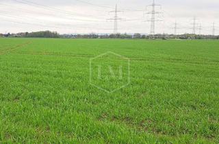 Immobilie kaufen in 50259 Pulheim, Ackerland in Pulheim