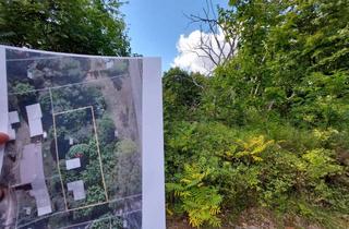 Gewerbeimmobilie kaufen in Weinberge 28, 14943 Luckenwalde, Naturnahes Grundstück im Außenbereich