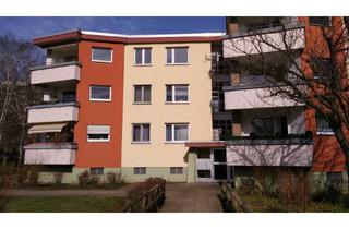 Wohnung mieten in Kölner Damm 6-20, 12353 Buckow, Schöne 2 Zimmerwohnung mit Bad und Balkon