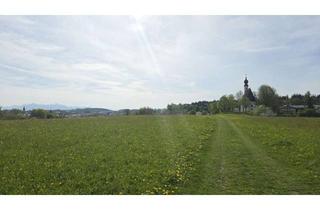 Einfamilienhaus kaufen in 83362 Surberg, Großzügiges gepflegtes Einfamilienhaus mit 1.100m² Gartengrund in Traunstein - 2 Garagen, Anbau Mögl