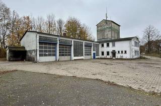 Gewerbeimmobilie kaufen in Stadthagener Straße, 31542 Bad Nenndorf, Werkstatt/Halle/Grundstück
