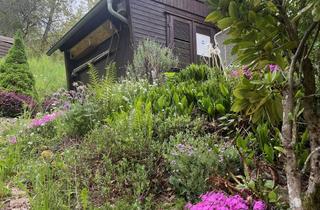Anlageobjekt in 71384 Weinstadt, Therapeutische Hochlage : Idyllisches Garten-Grundstück in den Weinbergen