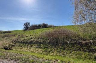 Grundstück zu kaufen in 89358 Kammeltal, Baugrundstück mit 1.040 qm und unverbaubarer Naturblick im Kammeltal