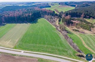 Gewerbeimmobilie kaufen in 86473 Ziemetshausen, Gut gelegene Wiese in Nachstetten