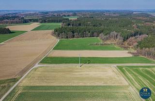 Gewerbeimmobilie kaufen in 86470 Thannhausen, Schöne Ackerfläche