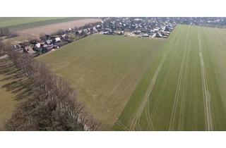 Immobilie kaufen in 49626 Berge, PROVISIONSFREI! Baugrundstücke in Berge-Grafeld