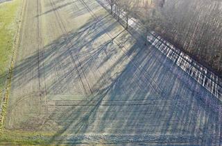 Immobilie kaufen in 49584 Fürstenau, 1,2983 ha Ackerland in Fürstenau-Hollenstede zu verkaufen!