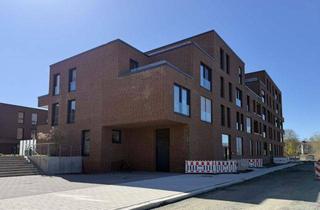 Wohnung mieten in 29223 Celle, Allerinsel: 2,5-Zimmer-Wohnung mit Einbauküche und zwei Dachterrassen