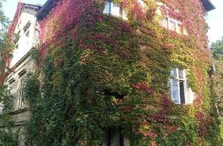 Villa kaufen in 39221 Welsleben, Bördeland - Klassische Villa für Idealisten, Enthusiasten