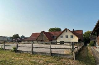 Haus kaufen in 74532 Ilshofen, Ilshofen - Pferdehof- Wohnhaus mit 6 Boxen und Offenstall
