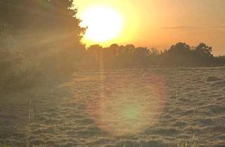 Bauernhaus kaufen in 48301 Nottuln, Nottuln - Bauernhof Resthof Generationshaus