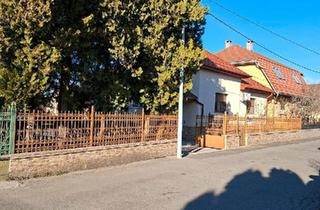 Haus kaufen in 92690 Pressath, Pressath - Exklusives Anwesen in Satu Mare Rumänien - 33 Ar Grundstück