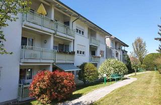 Wohnung kaufen in Im Grün, 77815 Bühl, Gepflegte 2-Zimmer Erdgeschosswohnung in der Seniorenwohnanlage Im Grün in Bühl