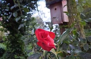 Wohnung mieten in 48324 Sendenhorst, Exklusiv ausgestattete Wohnung in ruhiger und angenehmer Lage!