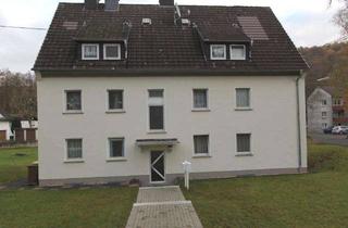 Wohnung mieten in Arbachstraße 86, 57290 Neunkirchen, schöne + helle 2 Zimmer-Küche-Bad- Wohnung in Neunkirchen-Salchendorf