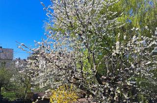 Wohnung mieten in Erlachstraße, 70771 Leinfelden-Echterdingen, Helle 3-Zimmer-Wohnung mit Balkon in Leinfelden-Echterdingen