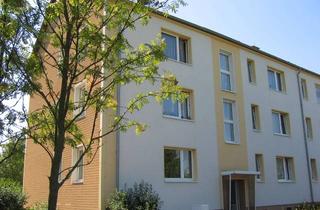 Wohnung mieten in Ladenthin 23, 17322 Grambow, Gepflegte 2-Zimmer-Wohnung im 2. OG in Grambow (Ladenthin)