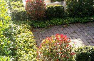 Wohnung mieten in 72250 Freudenstadt, Moderne Single-Wohnung mit Küche und XXL-Terrasse