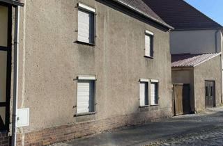 Haus kaufen in 06729 Elsteraue, Dorfleben hautnah