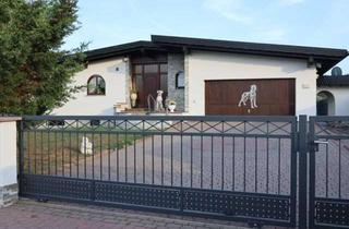 Villa kaufen in 63762 Großostheim, EXKLUSIVE UNTERNEHMERVILLA MIT GEWERBEAREAL AUF 3.440 m² – PROVISIONSFREI