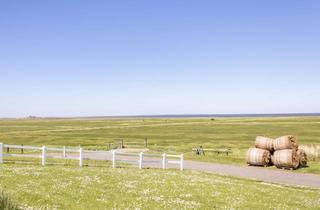 Haus kaufen in 25859 Hallig Hooge, Einzigartig - Leben auf einer Nordsee Hallig! Hooge!