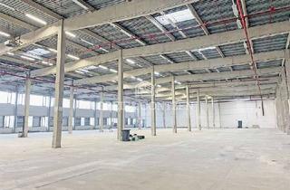 Gewerbeimmobilie mieten in 50126 Bergheim, Idealer Logistikstandort | Rampen + ebenerdig | 6,5 UKB | Greif & Contzen