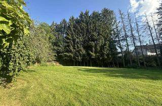 Grundstück zu kaufen in 36179 Bebra, Baureifes Grundstück in Bebra - Solz!