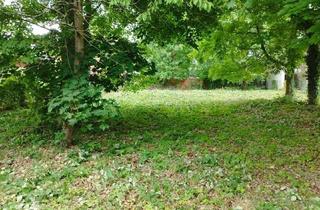 Grundstück zu kaufen in 14469 Bornstedt, Baugrundstück in Potsdam-Bornstedt in absoluter Ruhe nahe Park Sanssouci/Krongut