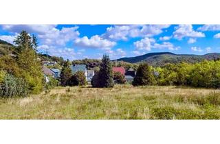 Grundstück zu kaufen in 52396 Heimbach, Traumhaftes Baugrundstück