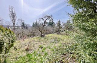 Grundstück zu kaufen in 89155 Erbach, Exponiertes 2.000 m² großes Baugrundstück in Erbach in gesuchter Lage