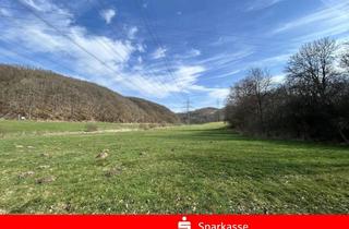 Immobilie kaufen in 57577 Seelbach, Pferdestall mit 8 Boxen und Scheune, 31.500 m² Weideland, Brunnen, Mistplatte am Objekt