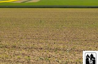 Immobilie kaufen in Bergstr. 12, 55758 Schmidthachenbach, TOP Investment: Knapp 90.000 qm Landwirtschaftsfläche, 5 Hektar Acker, 3,75 Hektar Grünland