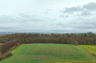 Gewerbeimmobilie kaufen in 37136 Ebergötzen, Leistungsstarker Ackerstandort, schönes Ackerland mit guter Bonität zu verkaufen!