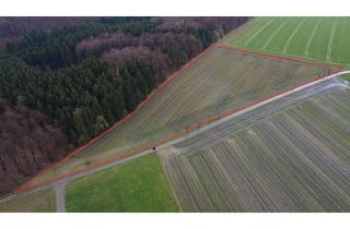 Gewerbeimmobilie mieten in 33184 Altenbeken, 1,95 ha Ackerland in Altenbeken-Schwaney