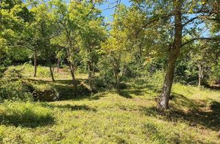 Gewerbeimmobilie kaufen in Kirchweinberg 55, 70327 Wangen, Gartengrundstück im Stuttgart Wangen