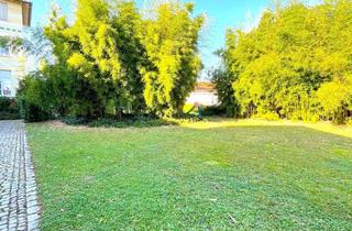 Wohnung mieten in 76461 Muggensturm, Gemütlich: Helles Appartement mit Stellplatz und Küche