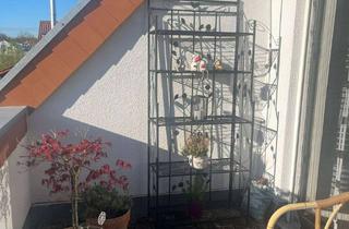 Wohnung mieten in 67065 Maudach, Charmante 3-Zimmer-Terrassenwohnung im 2. OG in Ludwigshafen-Maudach