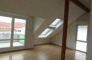 Wohnung mieten in 65239 Hochheim, Exklusive 2-Zimmer-DG-Wohnung mit Dachterrasse, Einbauküche in Hochheim am Main